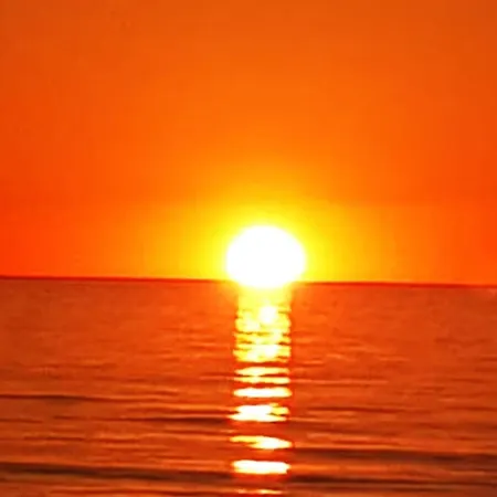 Traum&zeit Ii * トラッセンハイデ